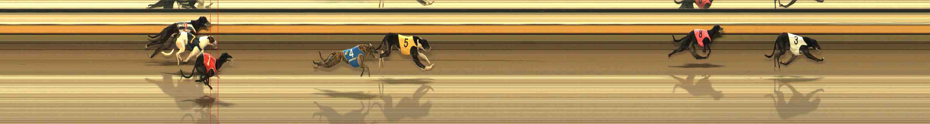 Photo finish for Warrnambool Race 4