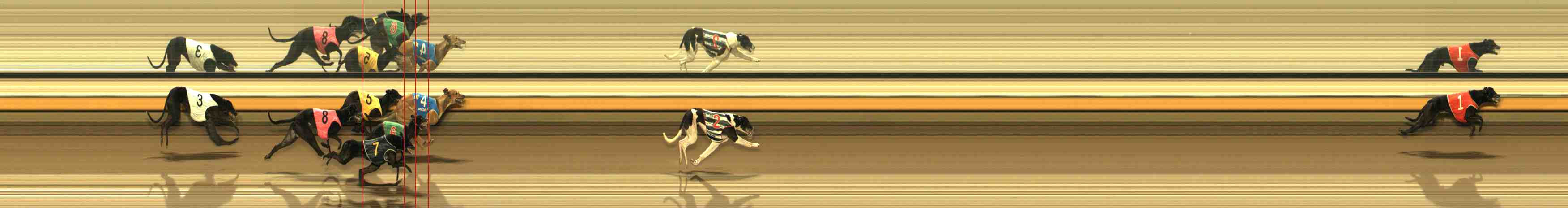 Photo finish for Warrnambool Race 5