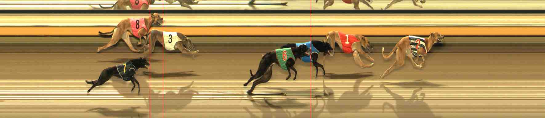 Photo finish for Warrnambool Race 6