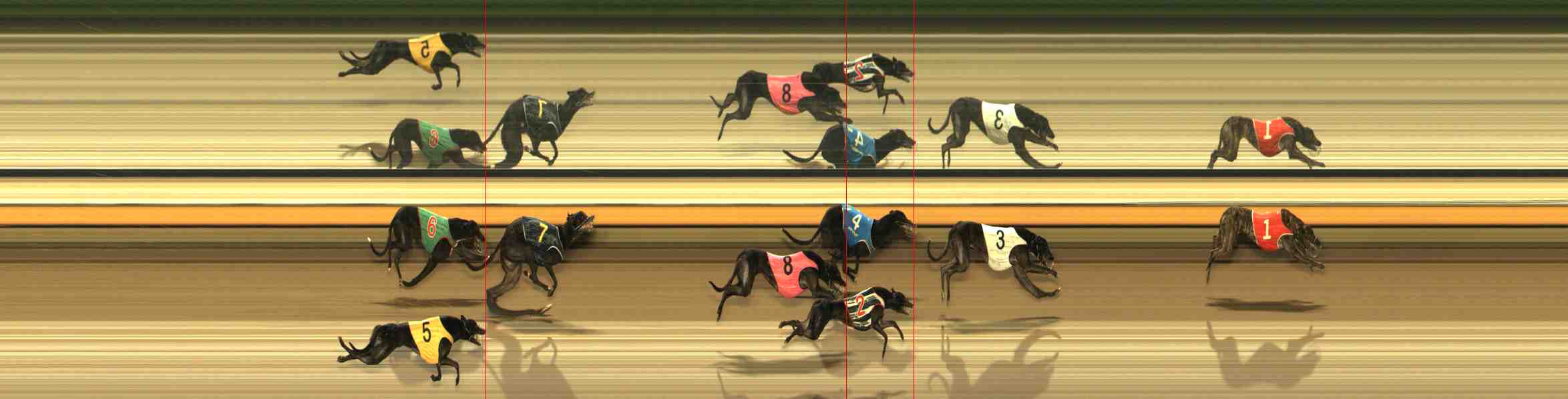 Photo finish for Warrnambool Race 7