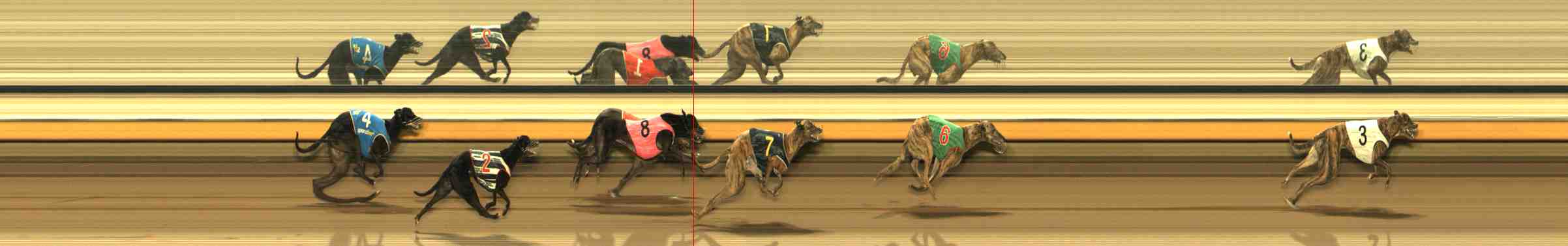 Photo finish for Warrnambool Race 8