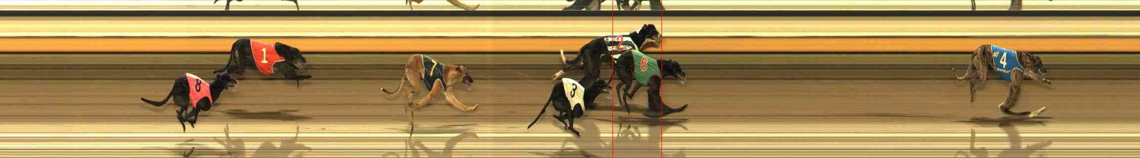Photo finish for Warrnambool Race 9