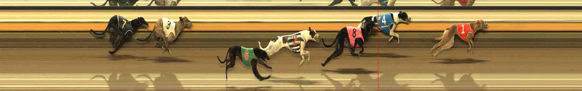 Photo finish for Warrnambool Race 10