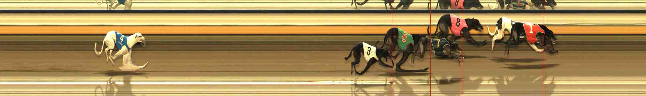 Photo finish for Warrnambool Race 11