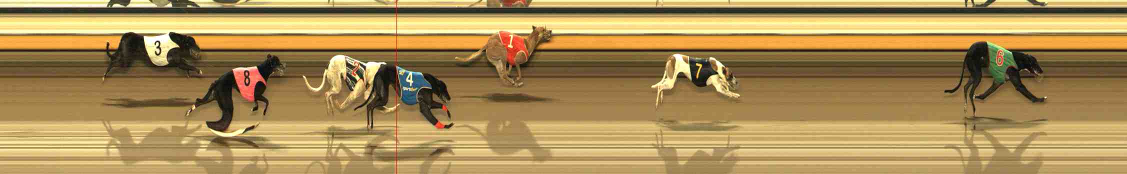 Photo finish for Warrnambool Race 12