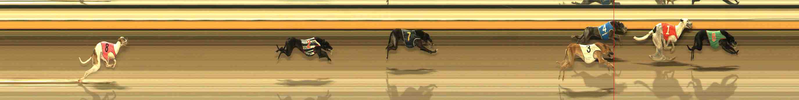 Photo finish for Warrnambool Race 13