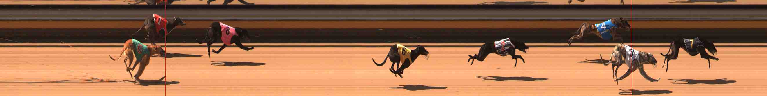 Photo finish for Warrnambool Race 1