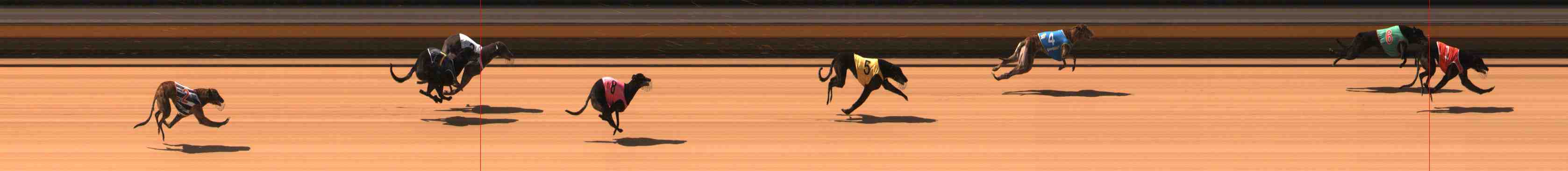 Photo finish for Warrnambool Race 2