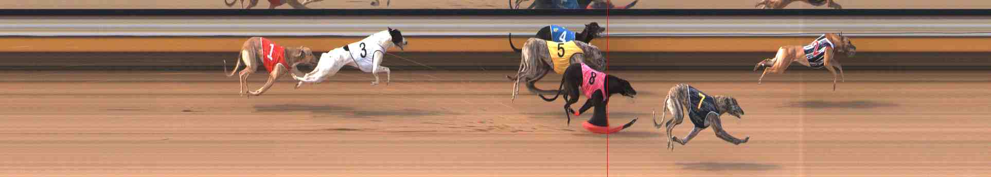 Photo finish for Warrnambool Race 3