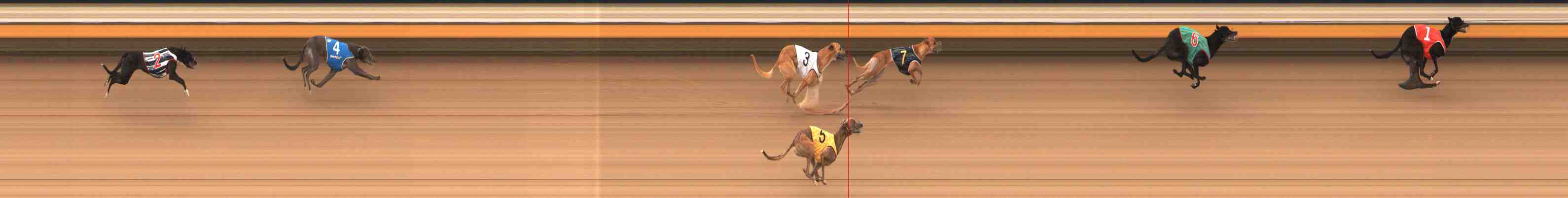 Photo finish for Warrnambool Race 4