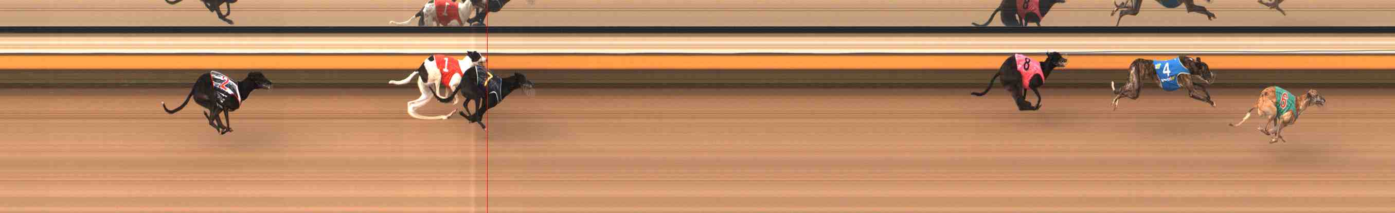 Photo finish for Warrnambool Race 5