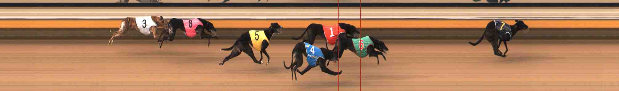 Photo finish for Warrnambool Race 6