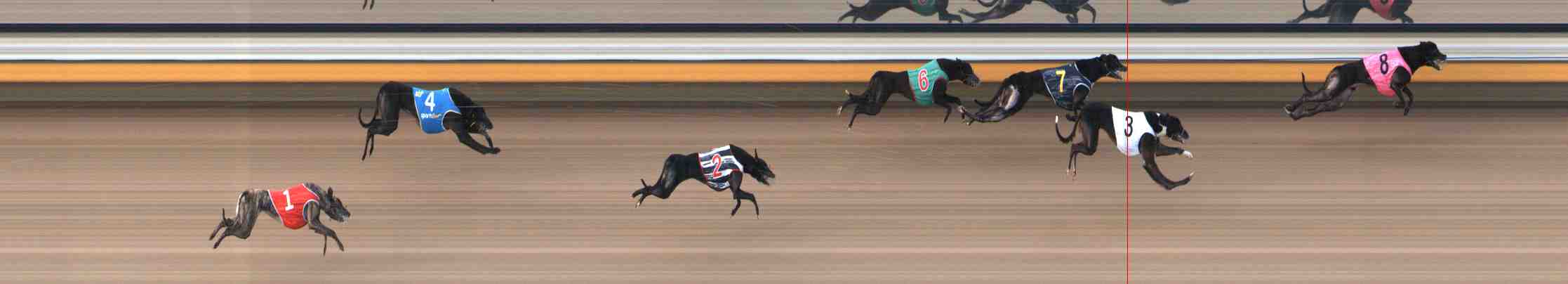 Photo finish for Warrnambool Race 7