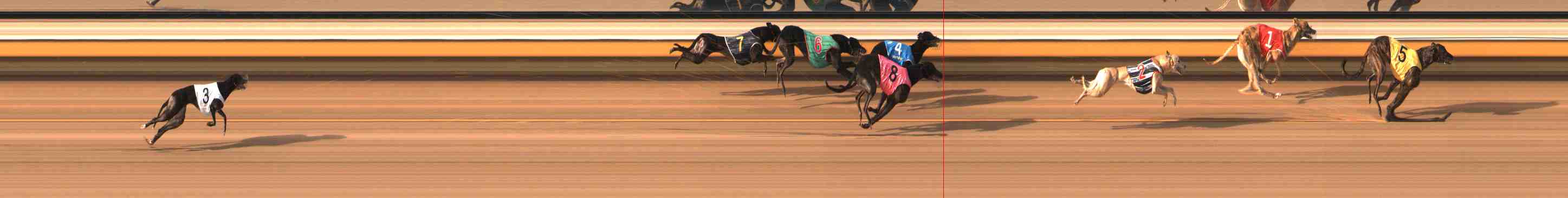 Photo finish for Warrnambool Race 8