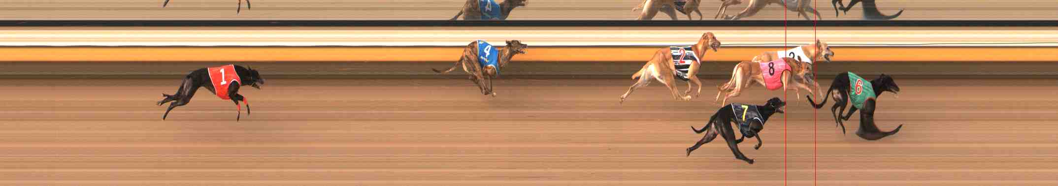 Photo finish for Warrnambool Race 9