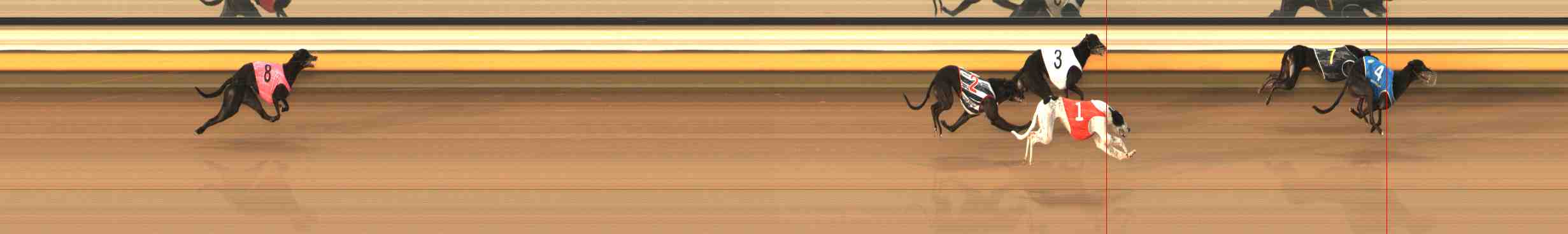 Photo finish for Warrnambool Race 10