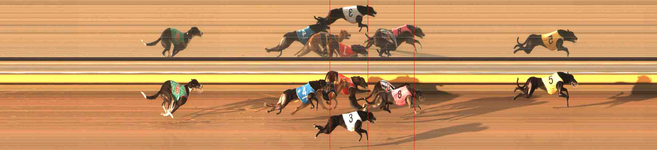 Photo finish for Warrnambool Race 11