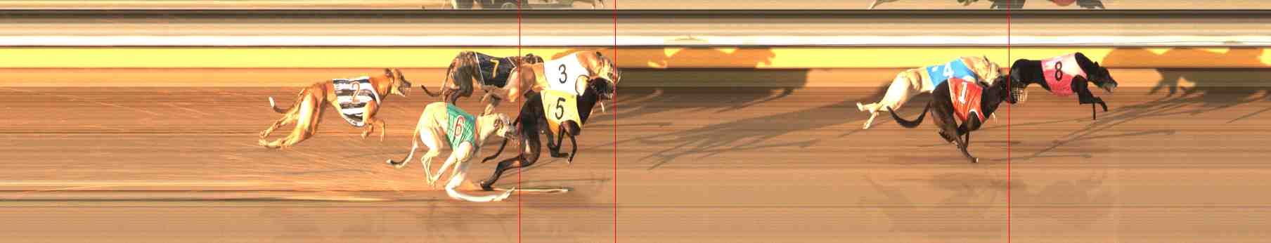 Photo finish for Warrnambool Race 12