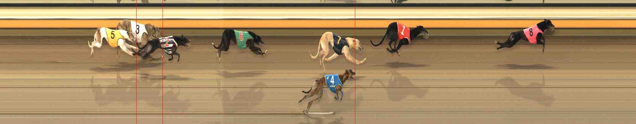 Photo finish for Warrnambool Race 13