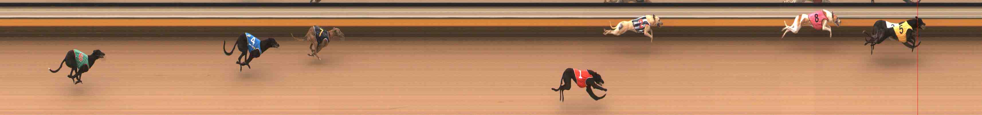 Photo finish for Warrnambool Race 1