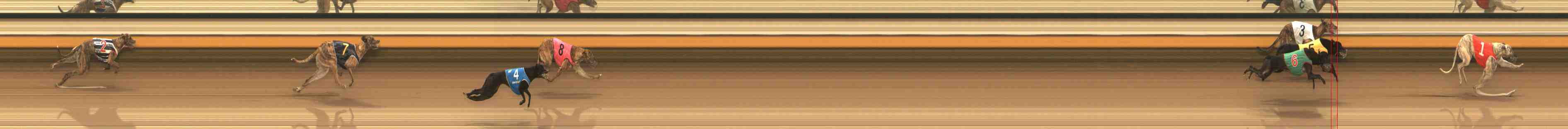 Photo finish for Warrnambool Race 2