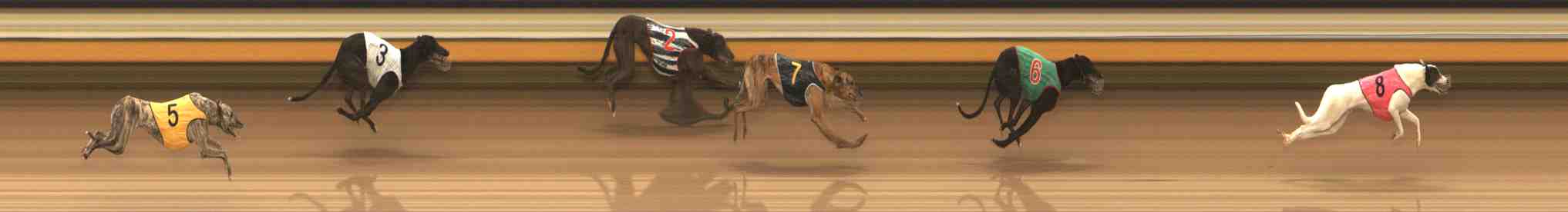 Photo finish for Warrnambool Race 3