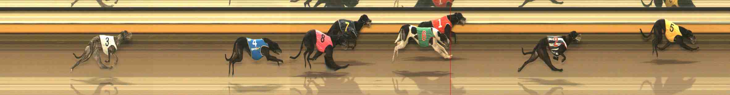Photo finish for Warrnambool Race 4