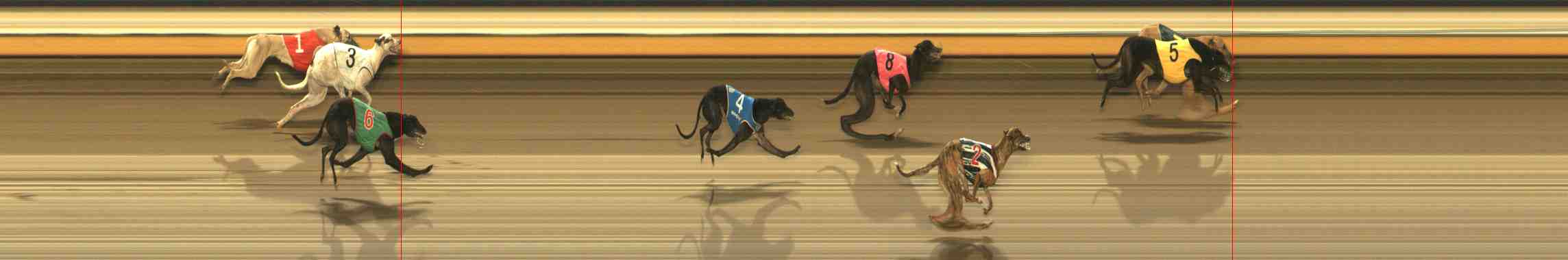 Photo finish for Warrnambool Race 5