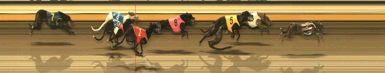 Photo finish for Warrnambool Race 6