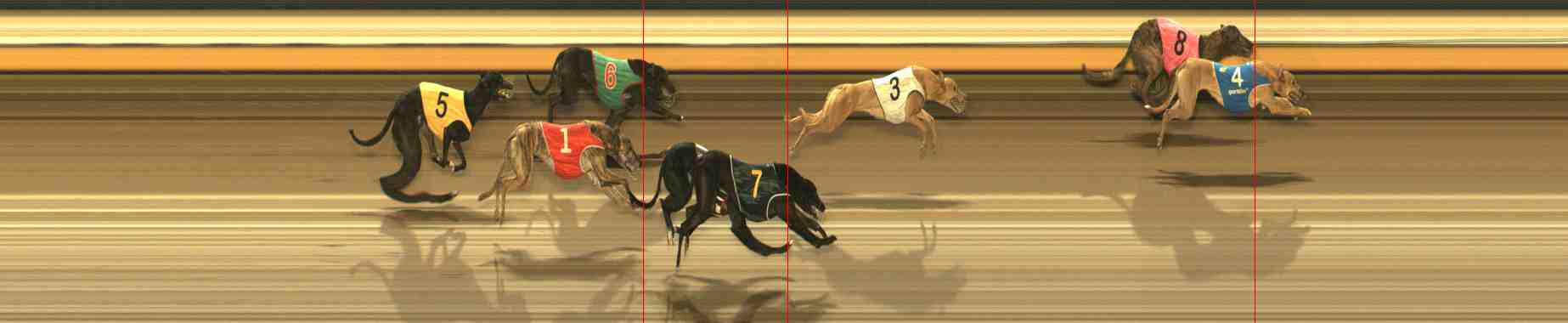 Photo finish for Warrnambool Race 7