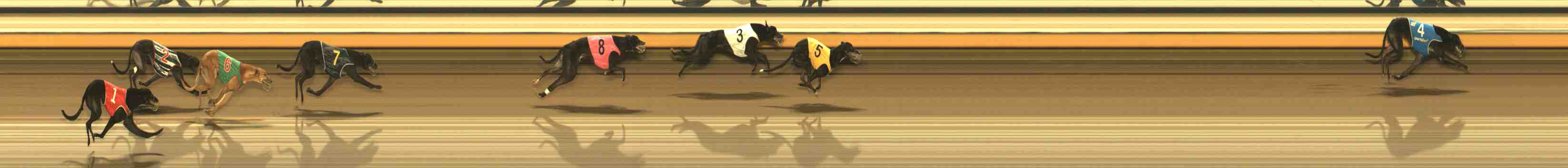 Photo finish for Warrnambool Race 8