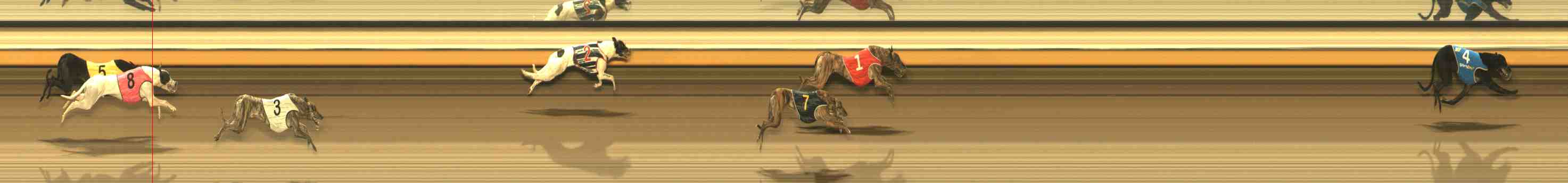 Photo finish for Warrnambool Race 9