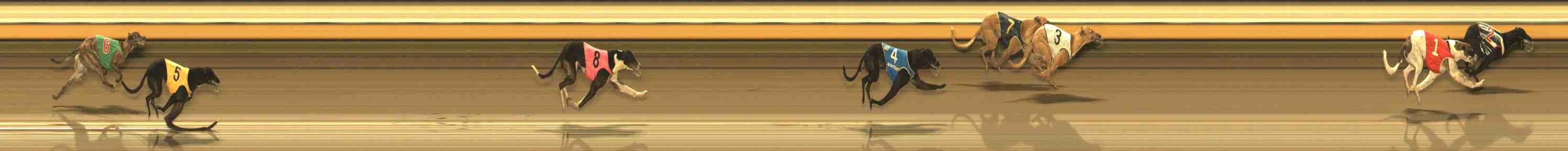 Photo finish for Warrnambool Race 10