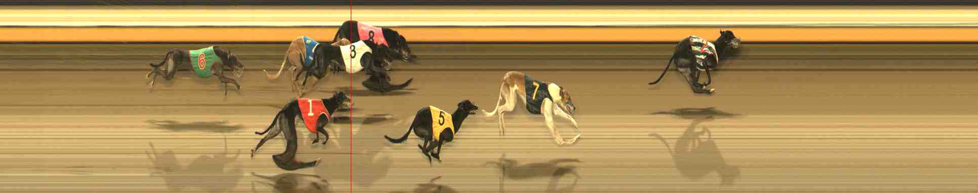 Photo finish for Warrnambool Race 12