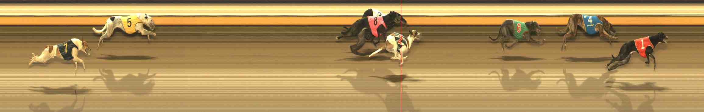 Photo finish for Warrnambool Race 13