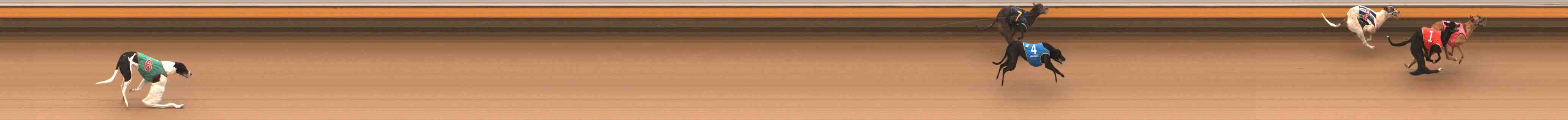 Photo finish for Warrnambool Race 1