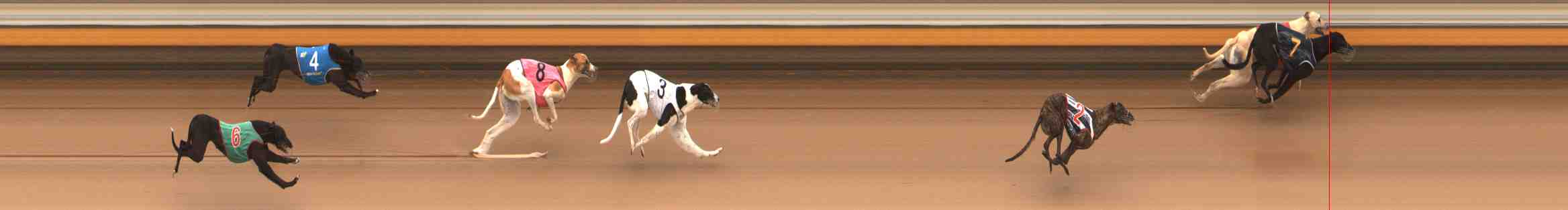 Photo finish for Warrnambool Race 2
