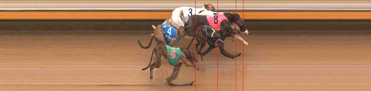 Photo finish for Warrnambool Race 3