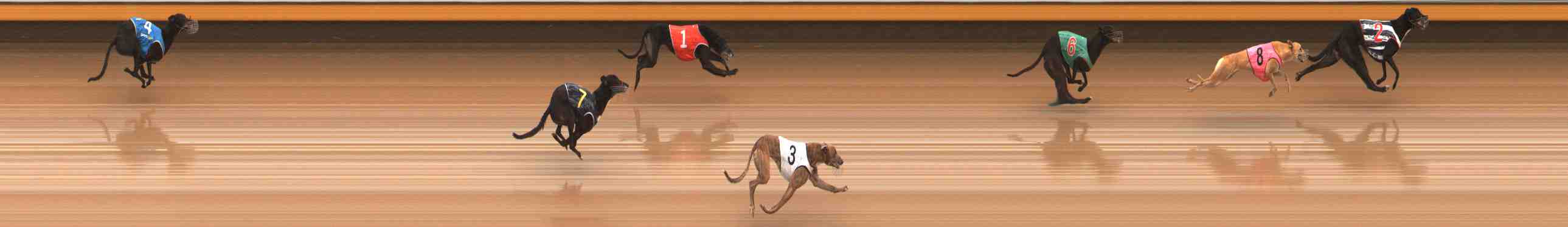 Photo finish for Warrnambool Race 5