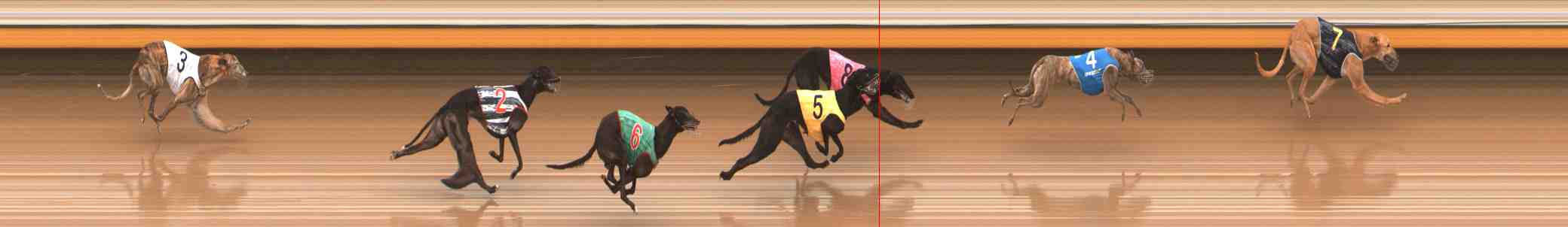 Photo finish for Warrnambool Race 6