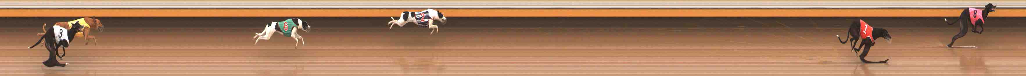 Photo finish for Warrnambool Race 7