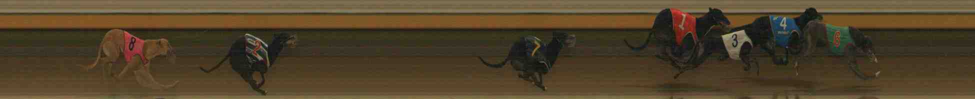 Photo finish for Warrnambool Race 10