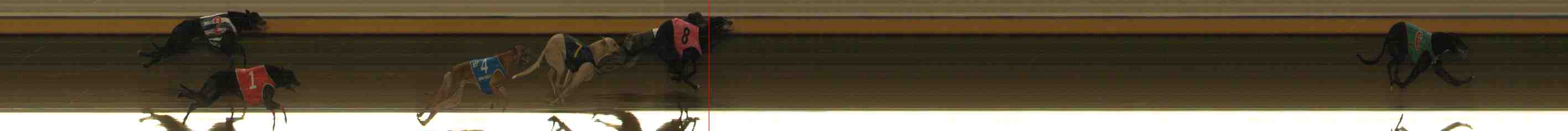 Photo finish for Warrnambool Race 11