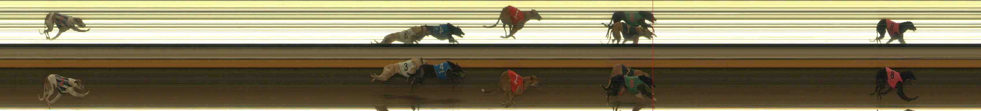 Photo finish for Warrnambool Race 12