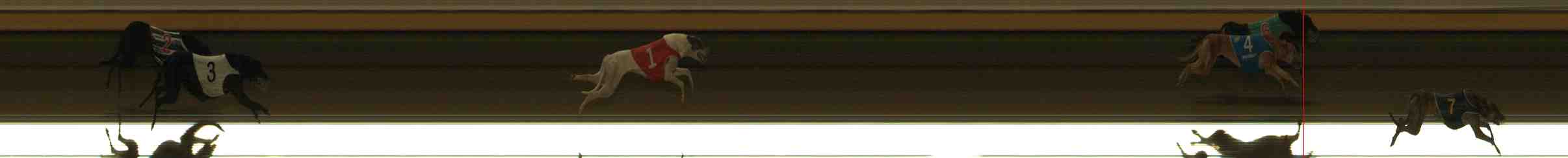 Photo finish for Warrnambool Race 13