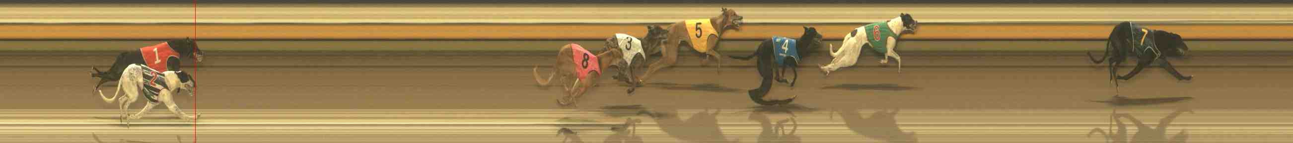 Photo finish for Warrnambool Race 4