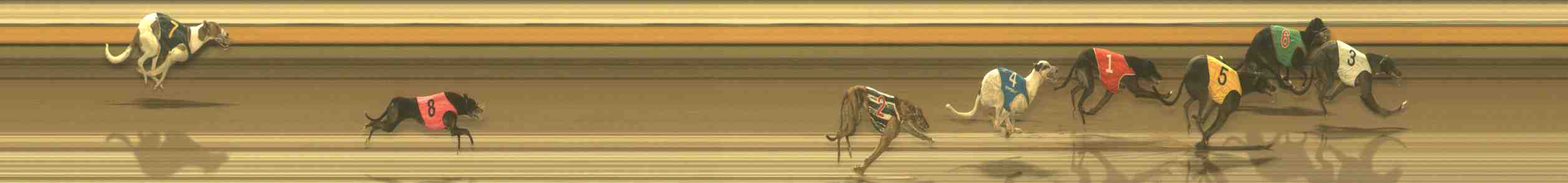 Photo finish for Warrnambool Race 7