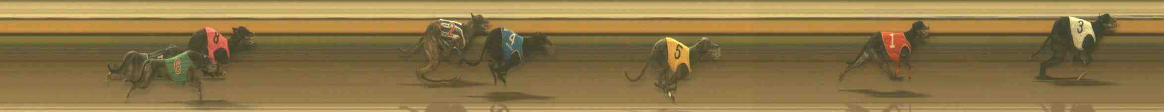 Photo finish for Warrnambool Race 11