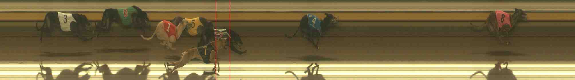 Photo finish for Warrnambool Race 13
