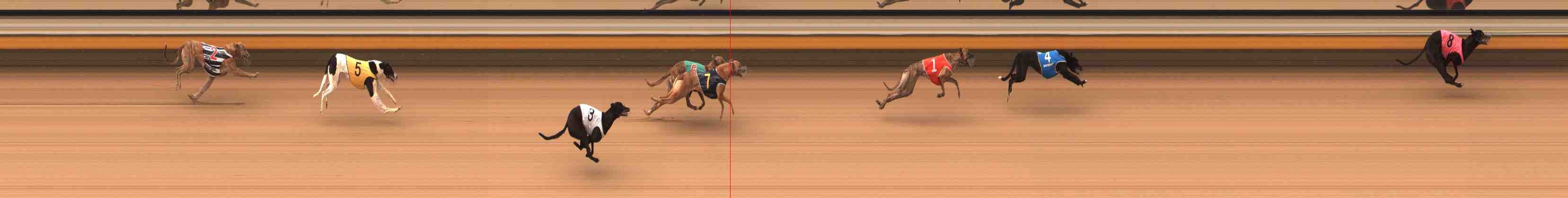 Photo finish for Warrnambool Race 2